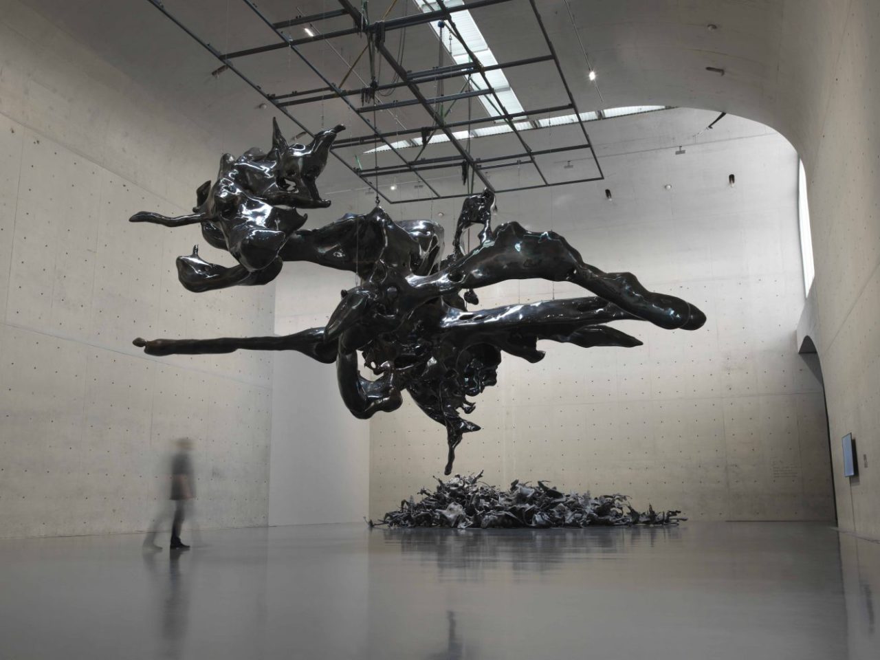 Zhan Wang: Forms in Flux