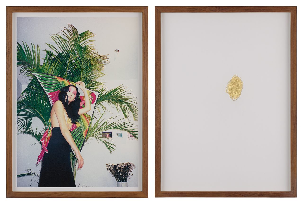 《压制解放了被压制的欲望No. 4》