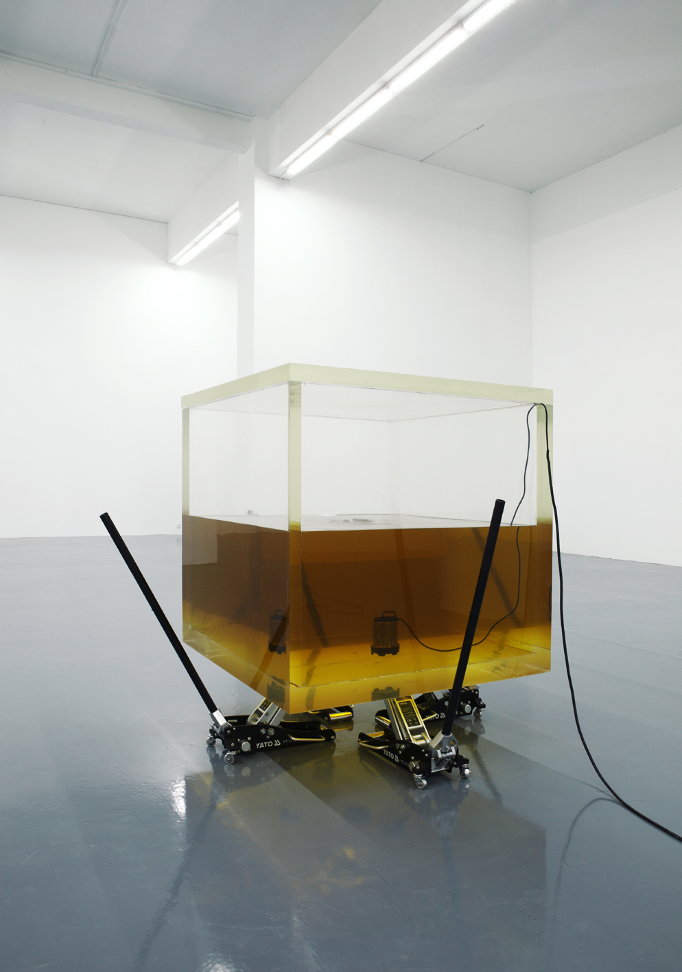 《意志的软弱，对社会的恐惧》