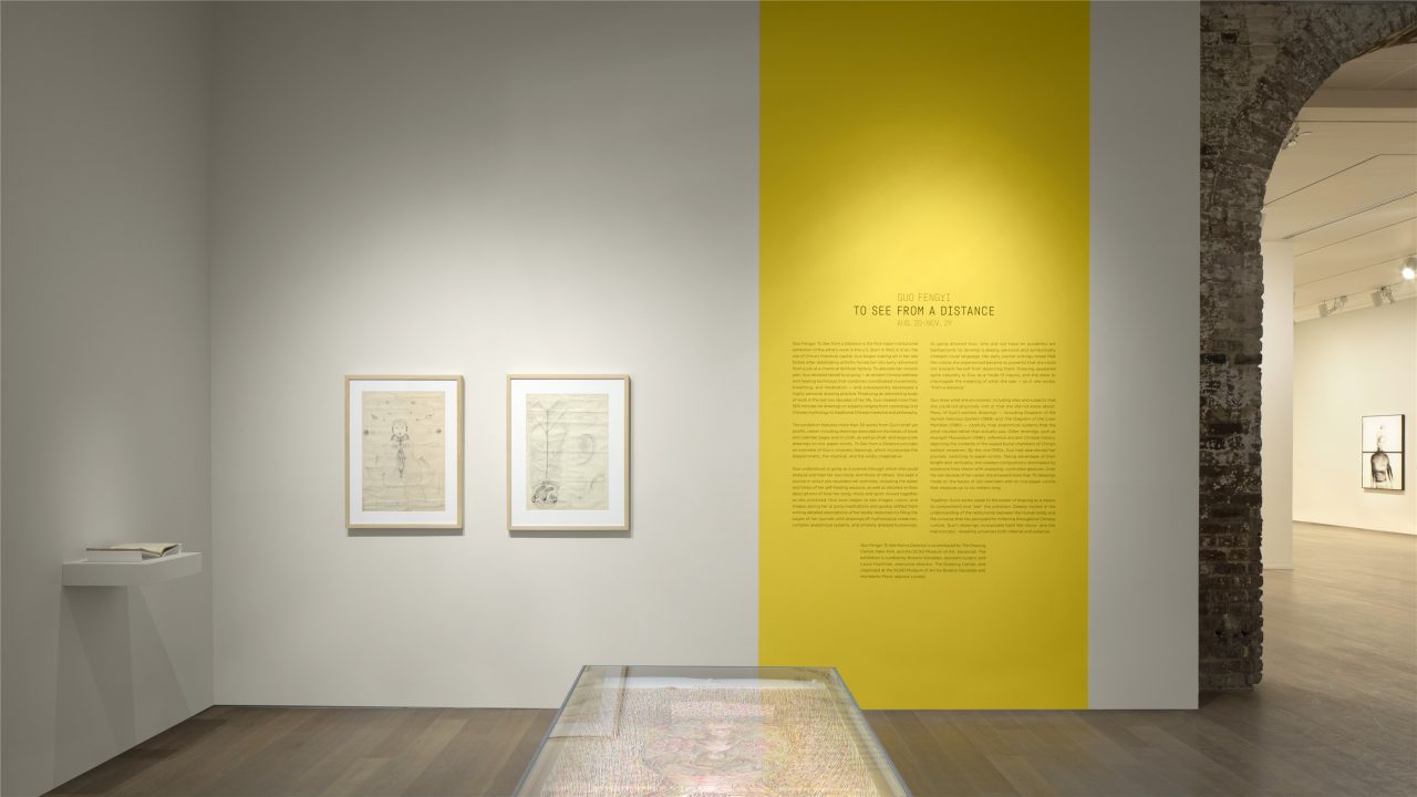 Guo Fengyi: To See from a Distance