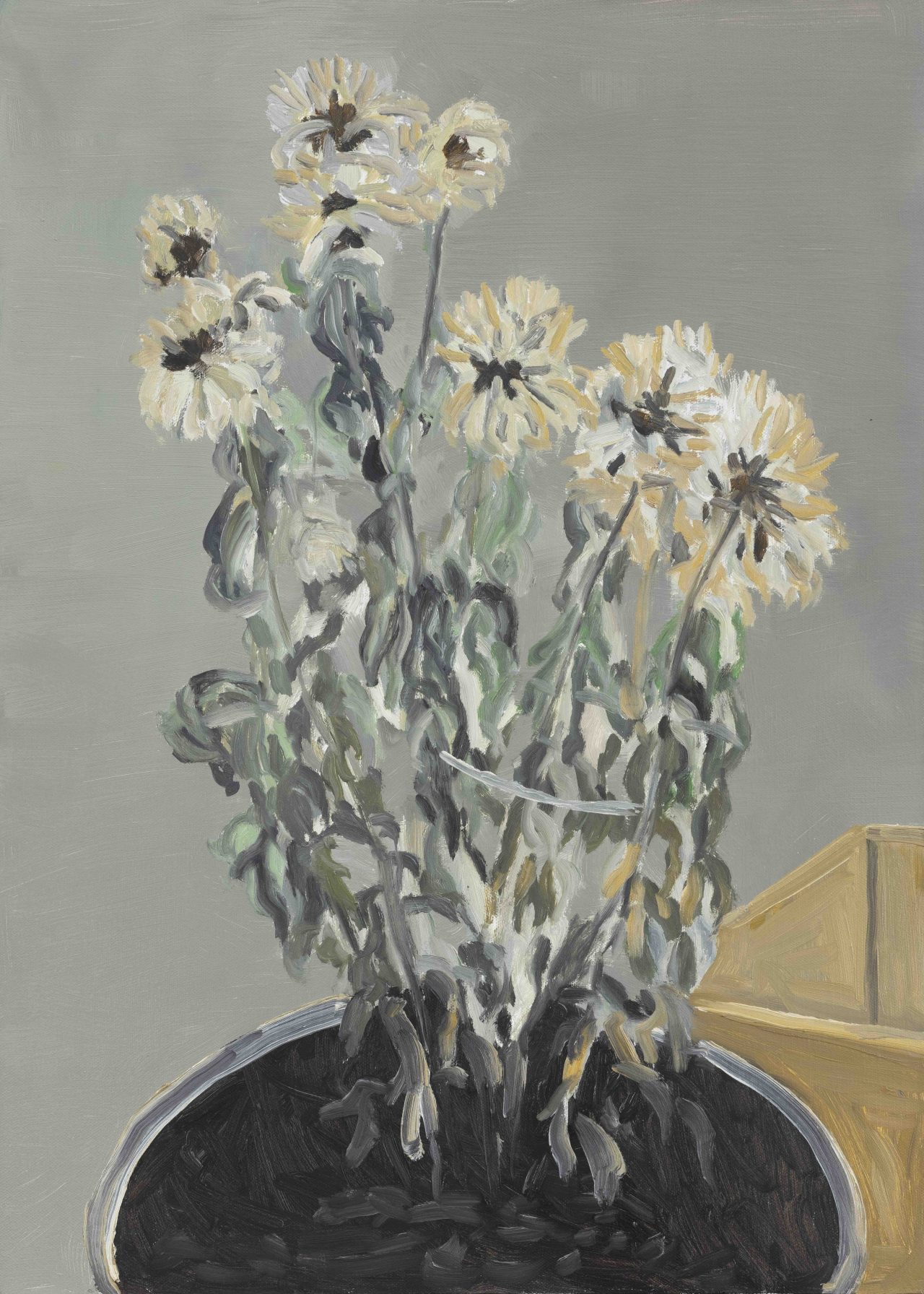 "The North-East" Series–Chrysanthemum
