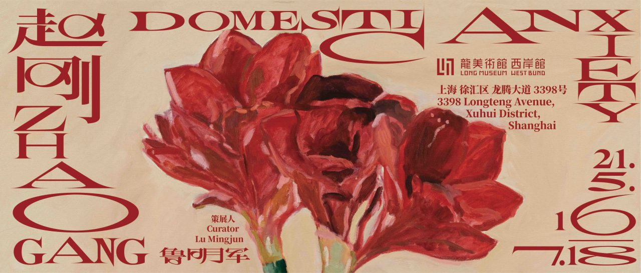 赵刚：Domestic Anxiety